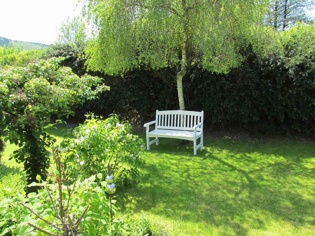 Pension Roseneck Wolfshagen  Extérieur photo